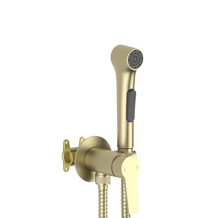 Гигиенический душ встроенный Лугано Aquatek AQ1719BG