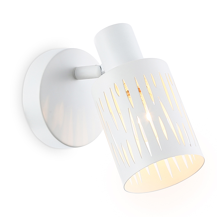 Светильник настенно-потолочный Ambrella Light TR8663