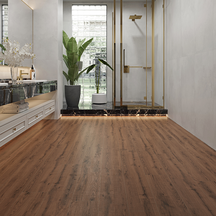 Керамогранит Forest Wenge Matt Buono Ceramica F4505M
