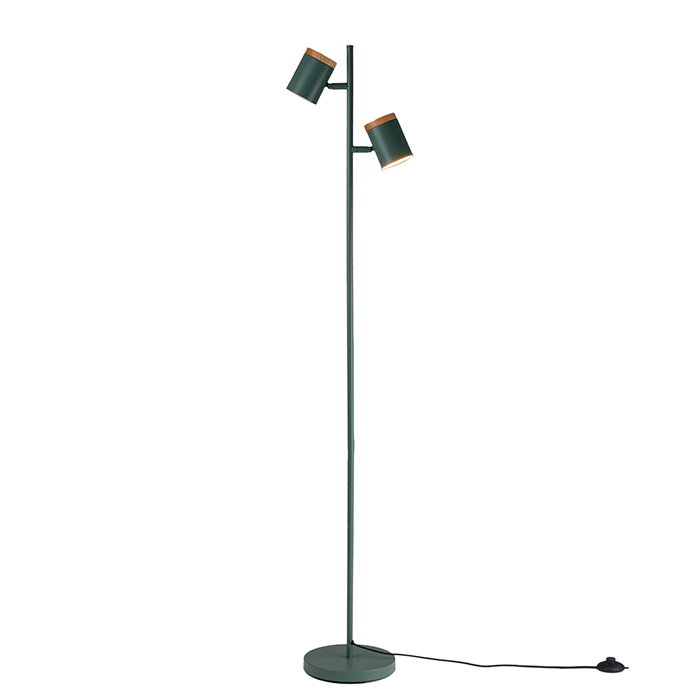 Торшер Asheswood Moderli V11290-2F