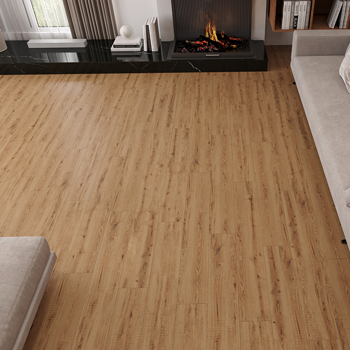 Керамогранит Forest Natural Matt Buono Ceramica F4504M