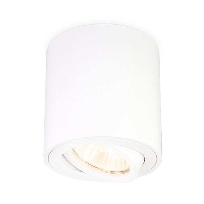 Светильник накладной точечный поворотный Ambrella Light TN22701