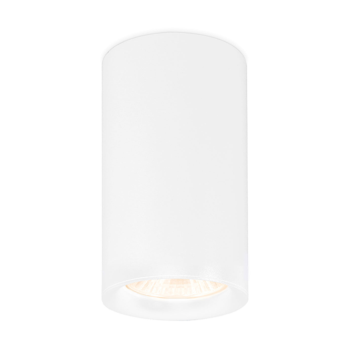 Светильник накладной точечный Ambrella Light TN213133