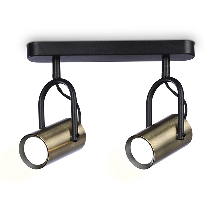 Спот накладной поворотный Ambrella Light TA13194