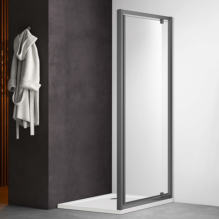 Душевая дверь в нишу 90х200 Aquatek AQ ARI PI 09020GM