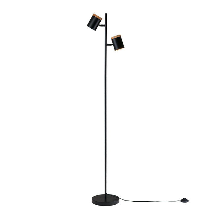 Торшер Asheswood Moderli V11287-2F