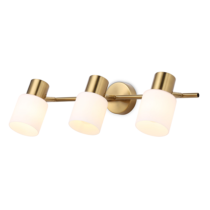 Спот настенно-потолочный Ambrella Light TR3972