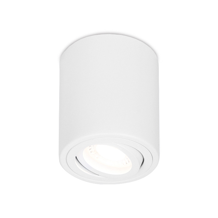 Светильник накладной точечный поворотный Ambrella Light TN225