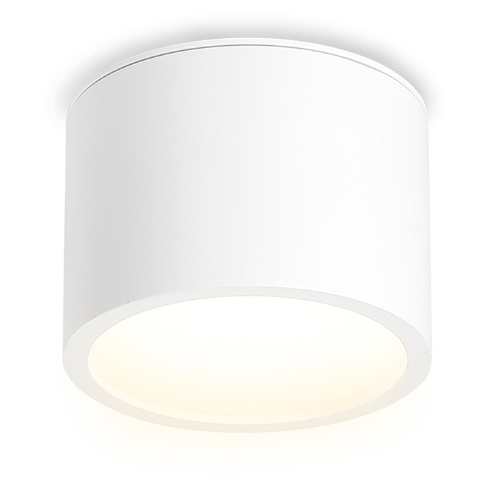 Светильник накладной точечный Ambrella Light TN6550