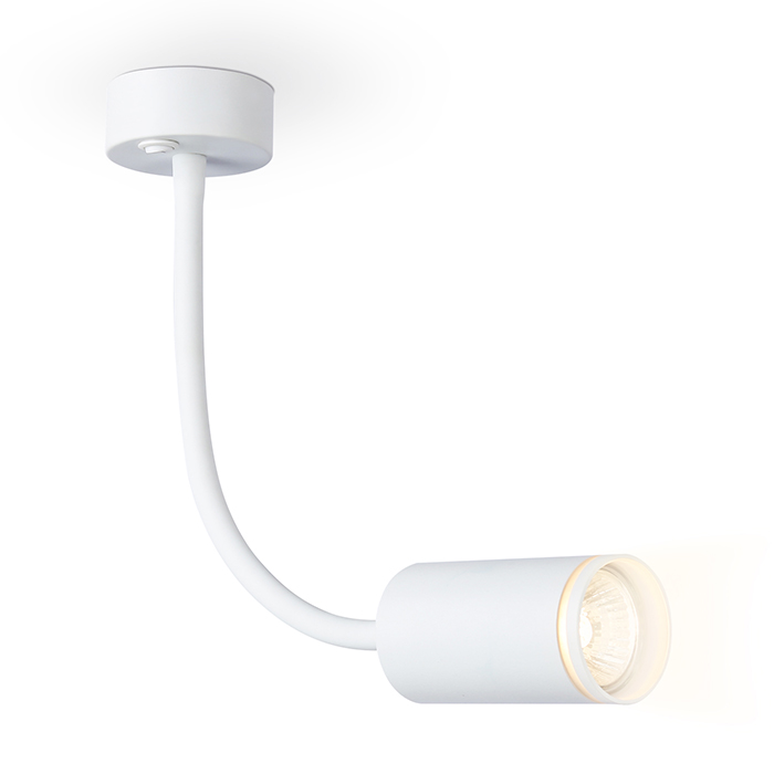 Светильник настенно-потолочный Ambrella Light FW2469